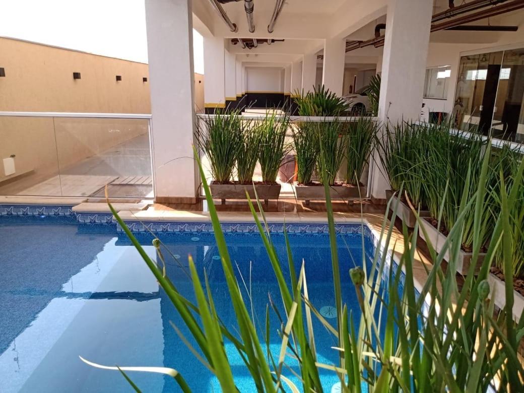 Flat Brilho Do Sol *